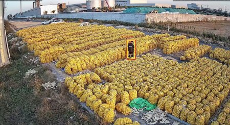  AI智能視頻監(jiān)控：革新安全管理，賦能多領域實際應用